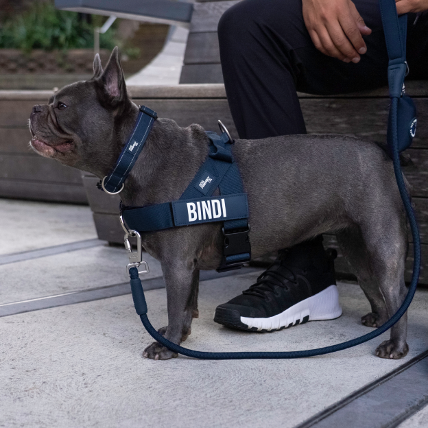 Walk Essentials - Navy Blue