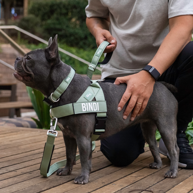 Walk Essentials - Khaki