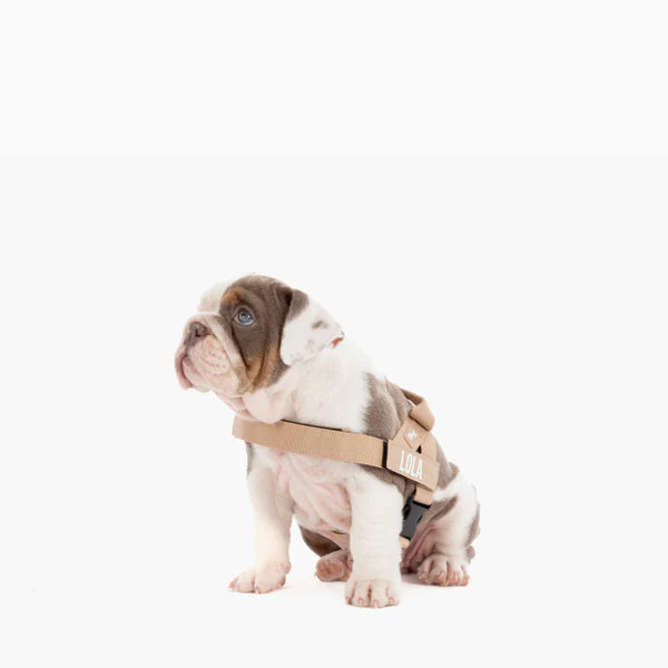 Dog Harness + FREE D-ring