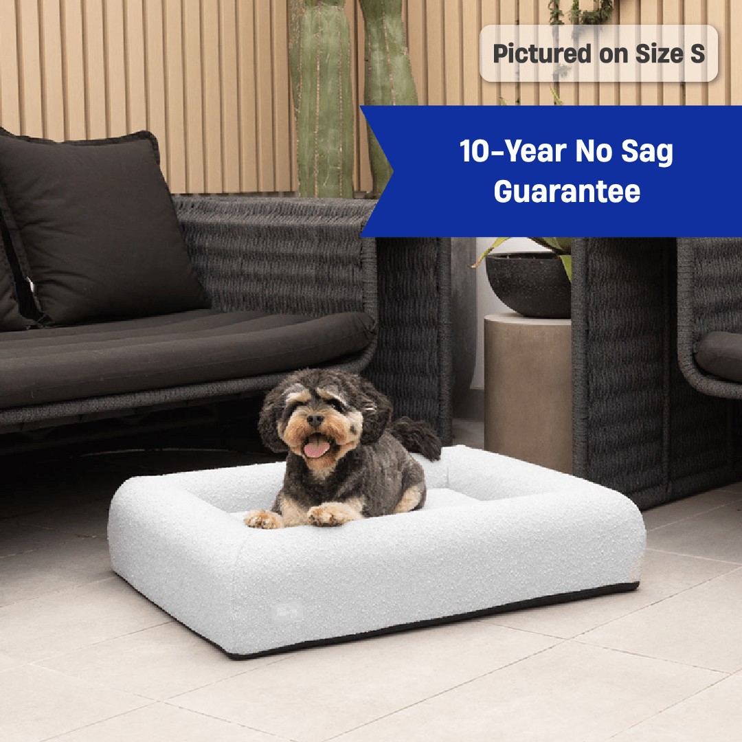 Premium Orthopedic Memory Foam Dog Bed - Grey Bouclé (Medium)