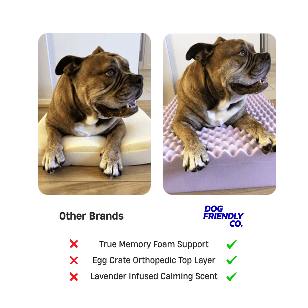 Premium Orthopedic Memory Foam Dog Bed - Brown Bouclé (Medium)
