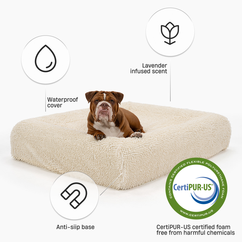 Premium Orthopedic Memory Foam Dog Bed - Cream (Large)