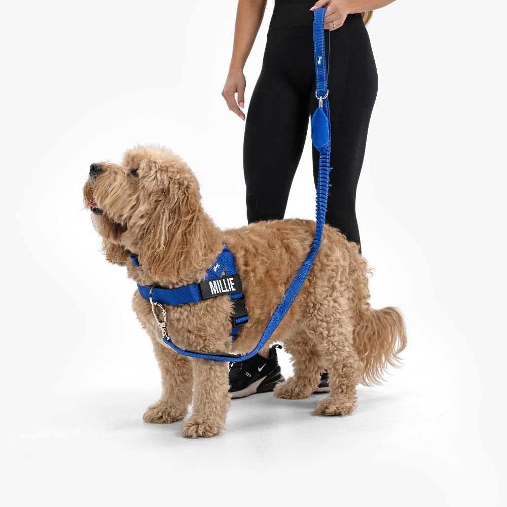 Signature Kit - Classic Blue