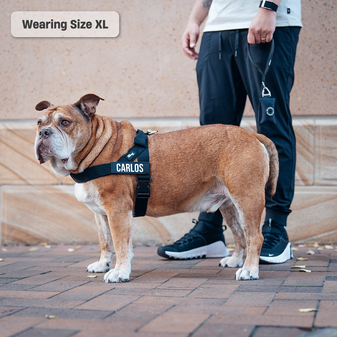 Signature Kit - Black