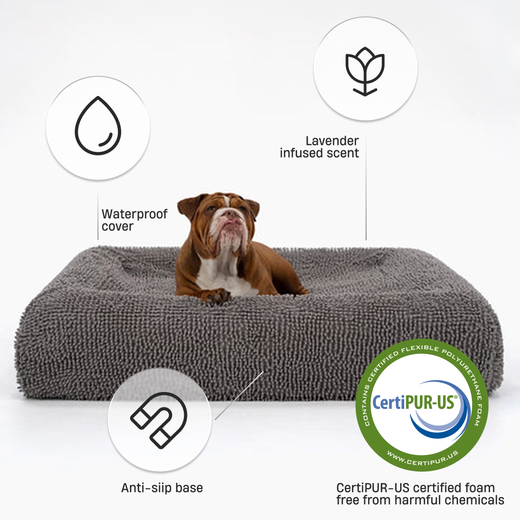 Premium Orthopedic Memory Foam Dog Bed - Plush Grey (Large)