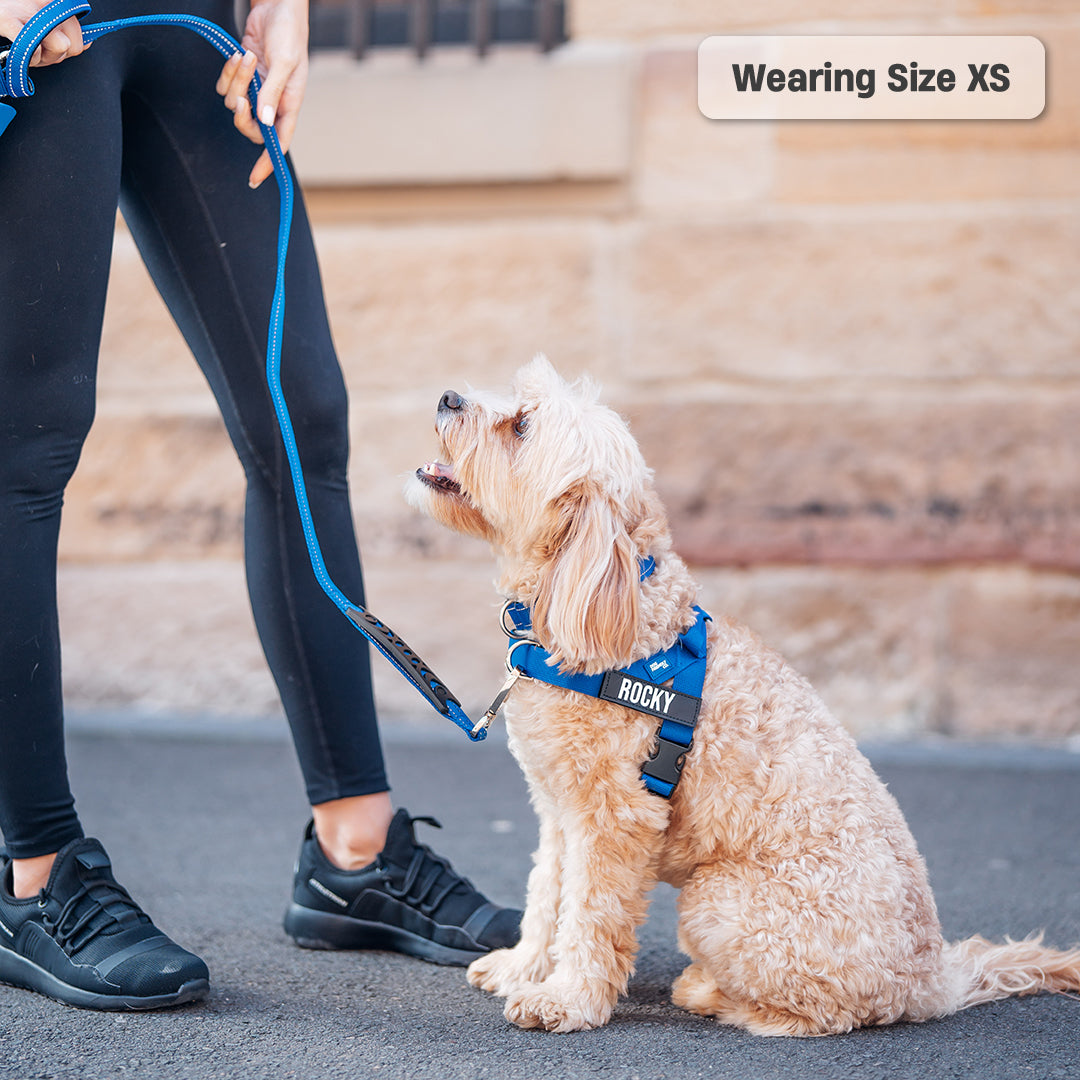 Signature Kit - Classic Blue