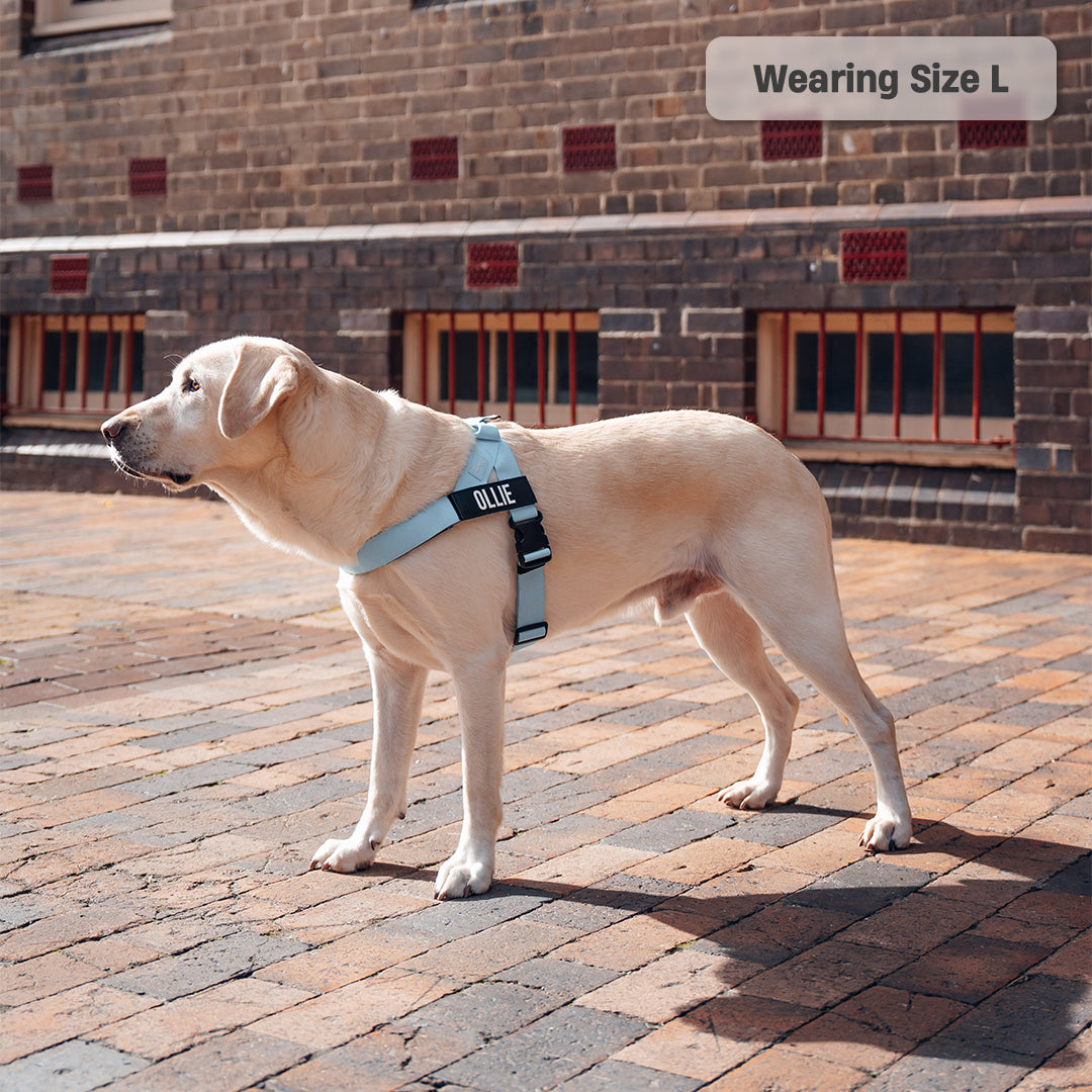 Signature Kit - Sky Blue