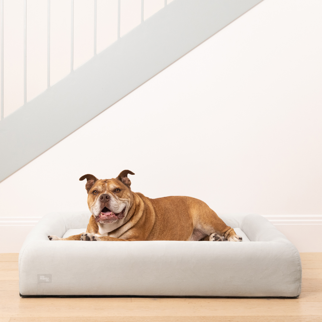 Premium Orthopedic Memory Foam Dog Bed - Grey (Small)