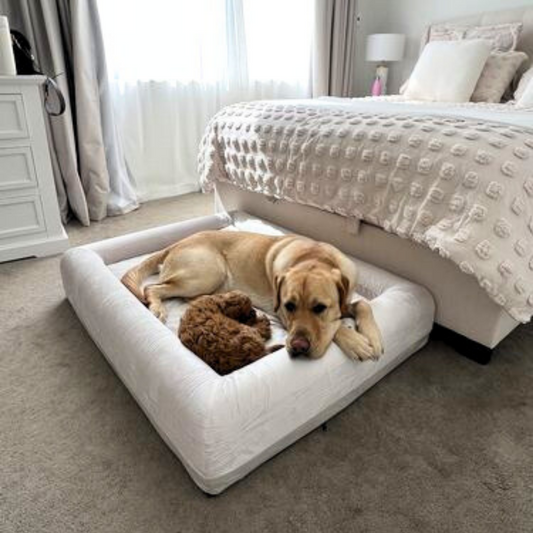 Hiding Out or Hanging Out? Why Your Dog Sleeps Under Your Bed