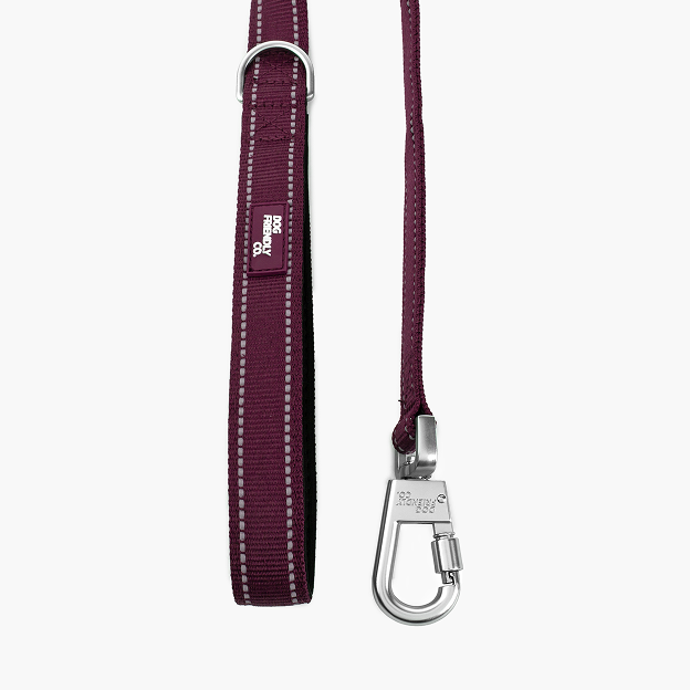 Short Trainer Dog Leash - Burgundy