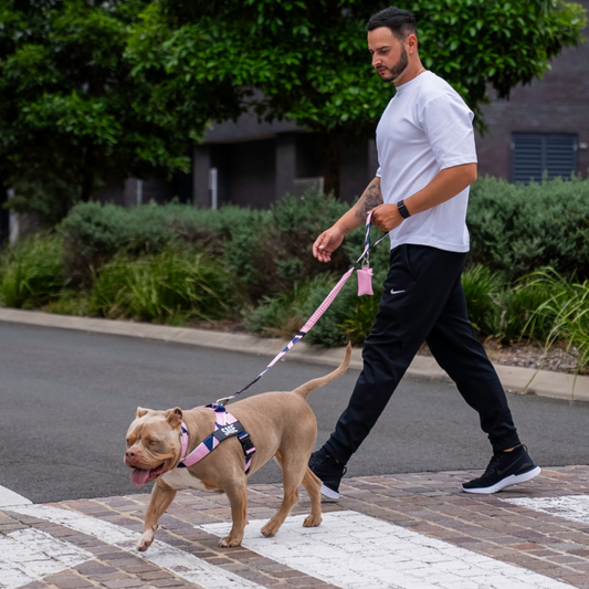 Walk Essentials - Limited Edition Pink