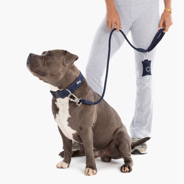 Rope Dog Leash - Navy Blue