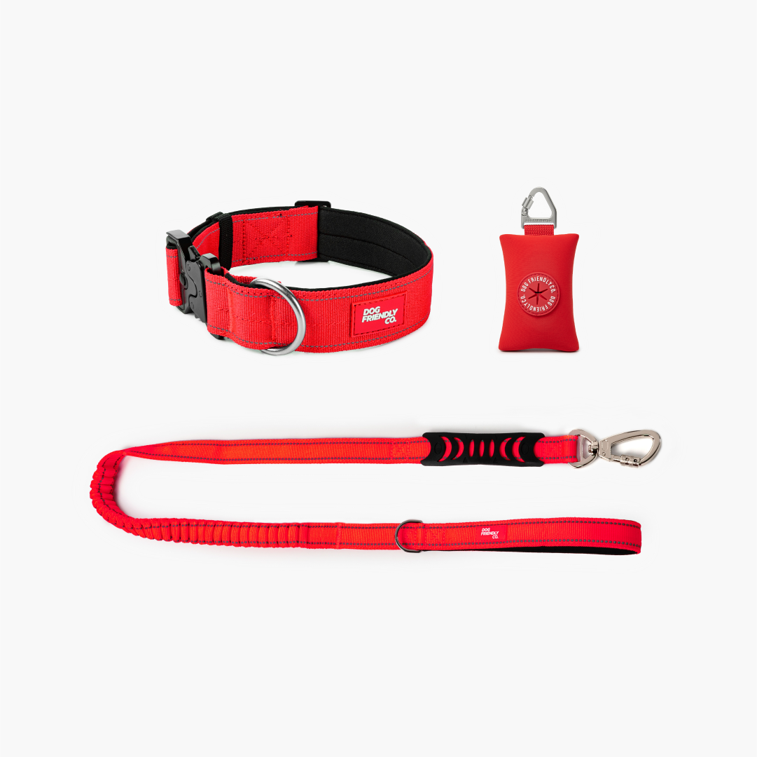 Collar Walk Set