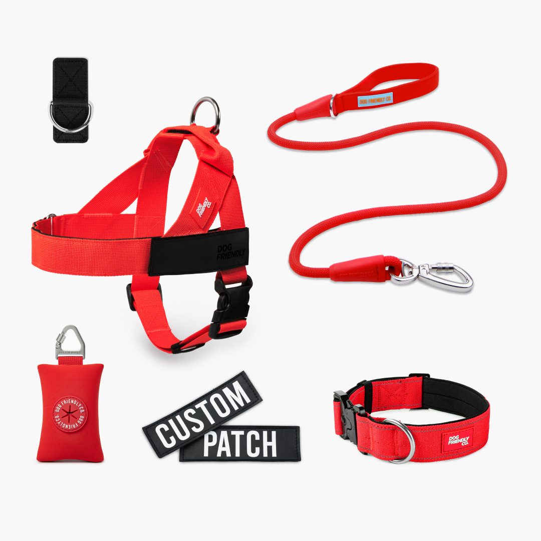 Walk Essentials - Red