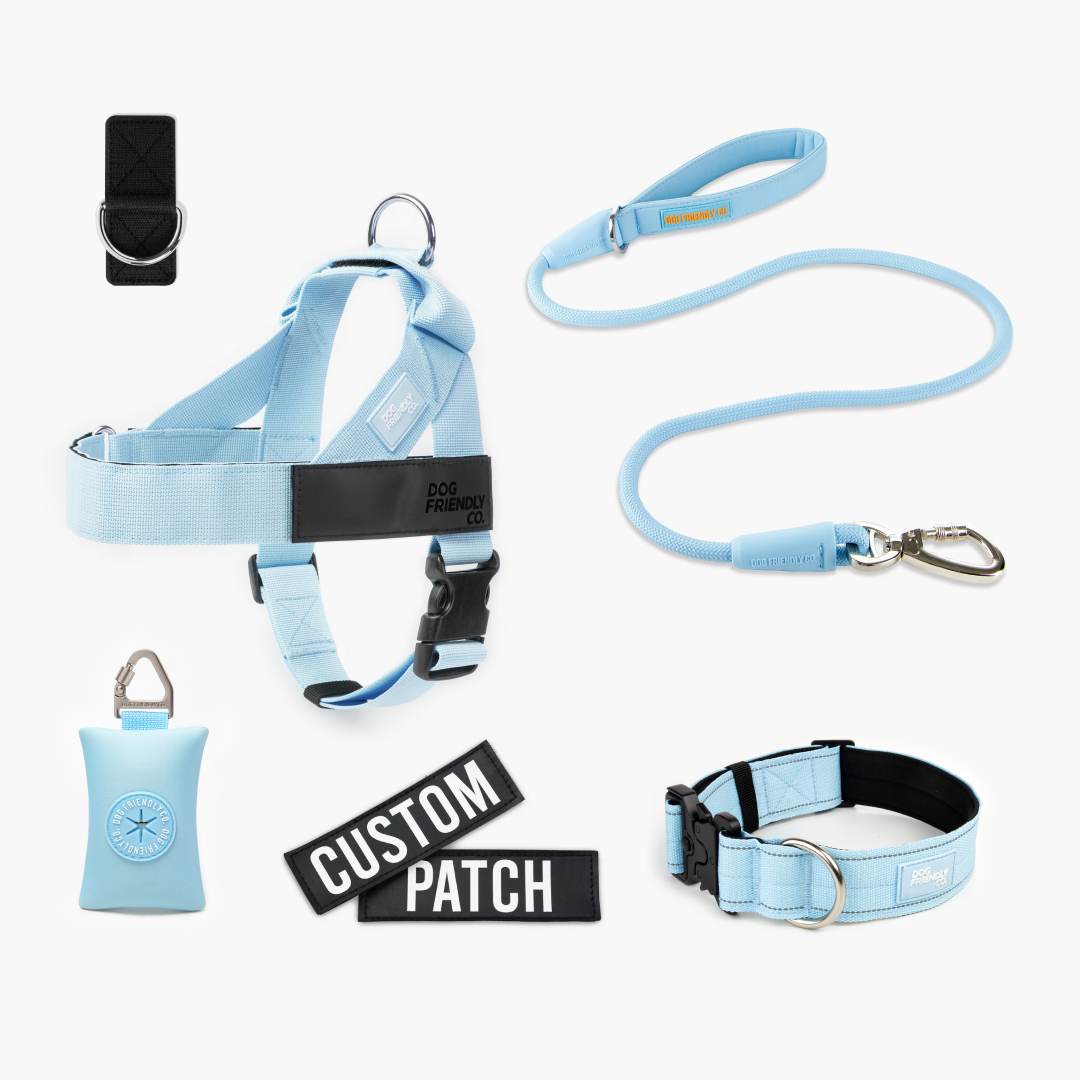 Walk Essentials - Sky Blue