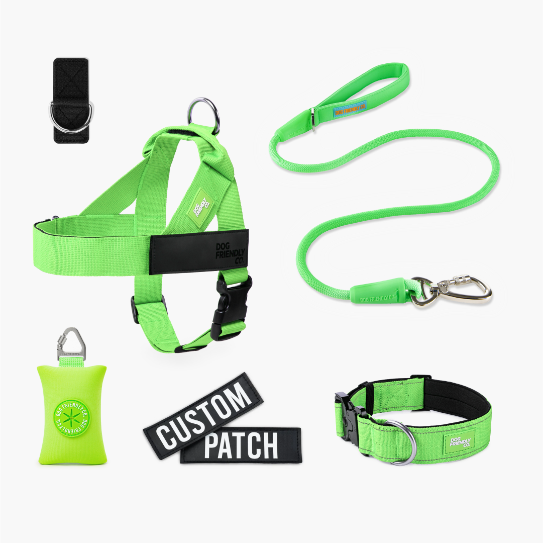 Walk Essentials - Neon Green