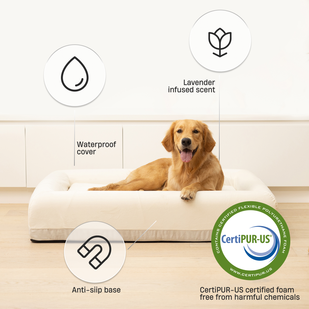 Premium Orthopedic Memory Foam Dog Bed - Beige (Large)