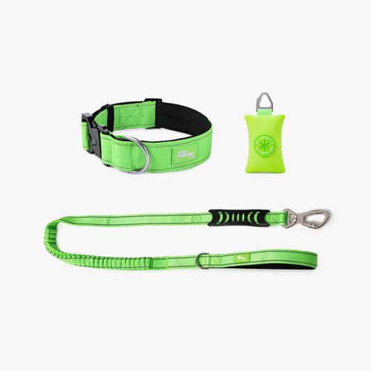 Collar Walk Set - Neon Green