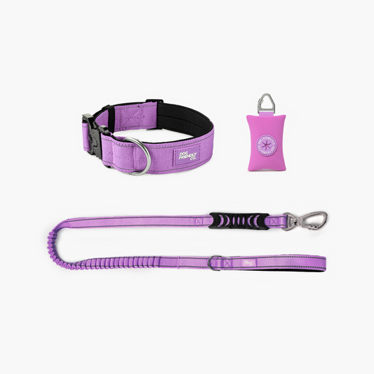 Collar Walk Set - Purple