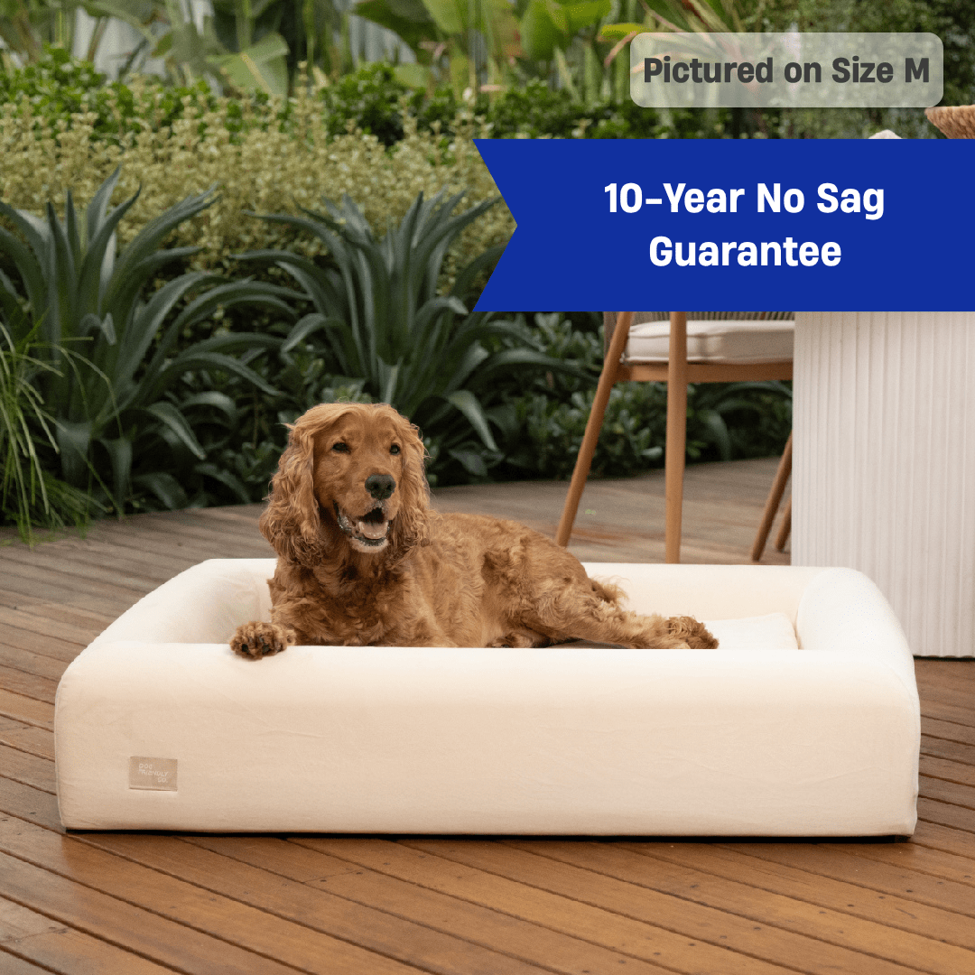Premium Orthopedic Memory Foam Dog Bed - Beige (Small)