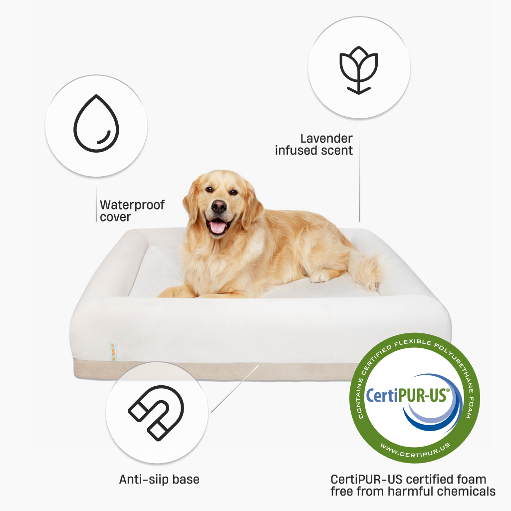 Premium Orthopedic Memory Foam Dog Bed - Champagne (Medium)