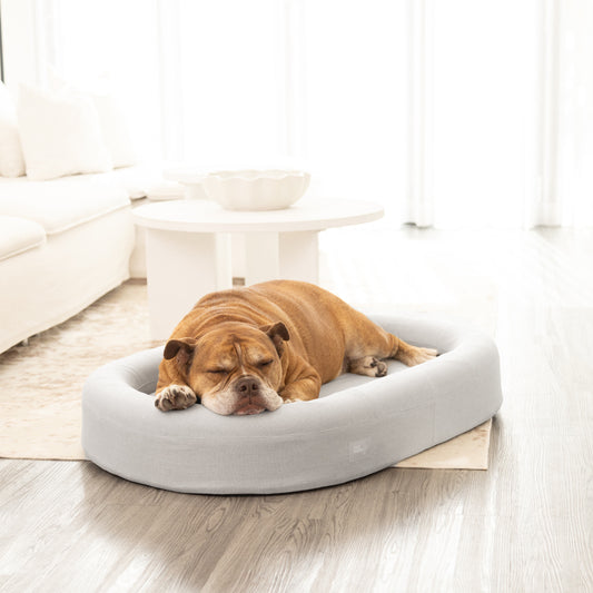 Chill Pill Memory Foam Dog Bed - Grey (Medium)