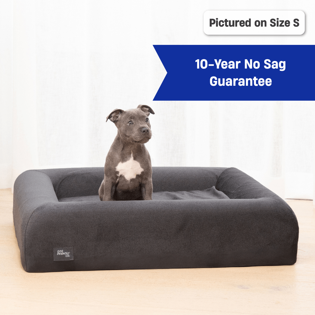 Premium Orthopedic Memory Foam Dog Bed - Charcoal (Small)