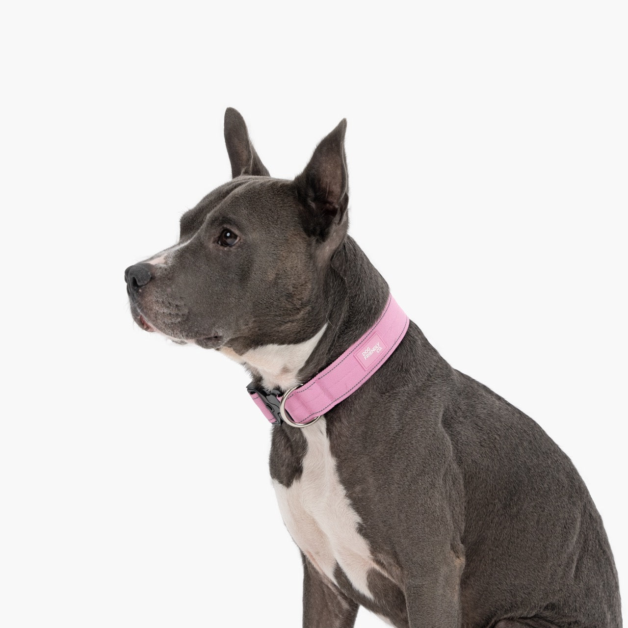 Tactical Dog Collar - Pink