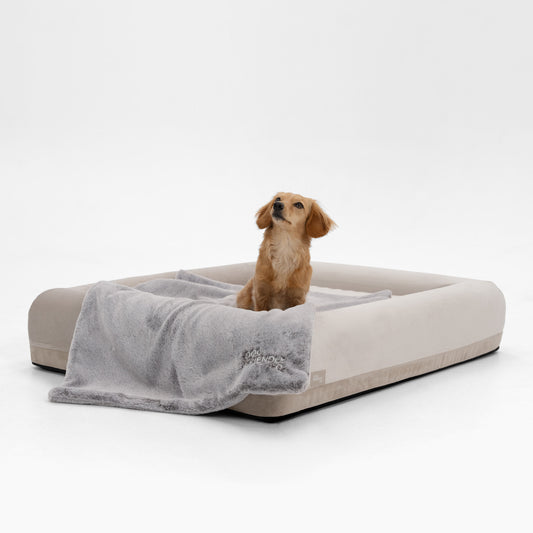 Premium Orthopedic Memory Foam Dog Bed - Champagne (Small)