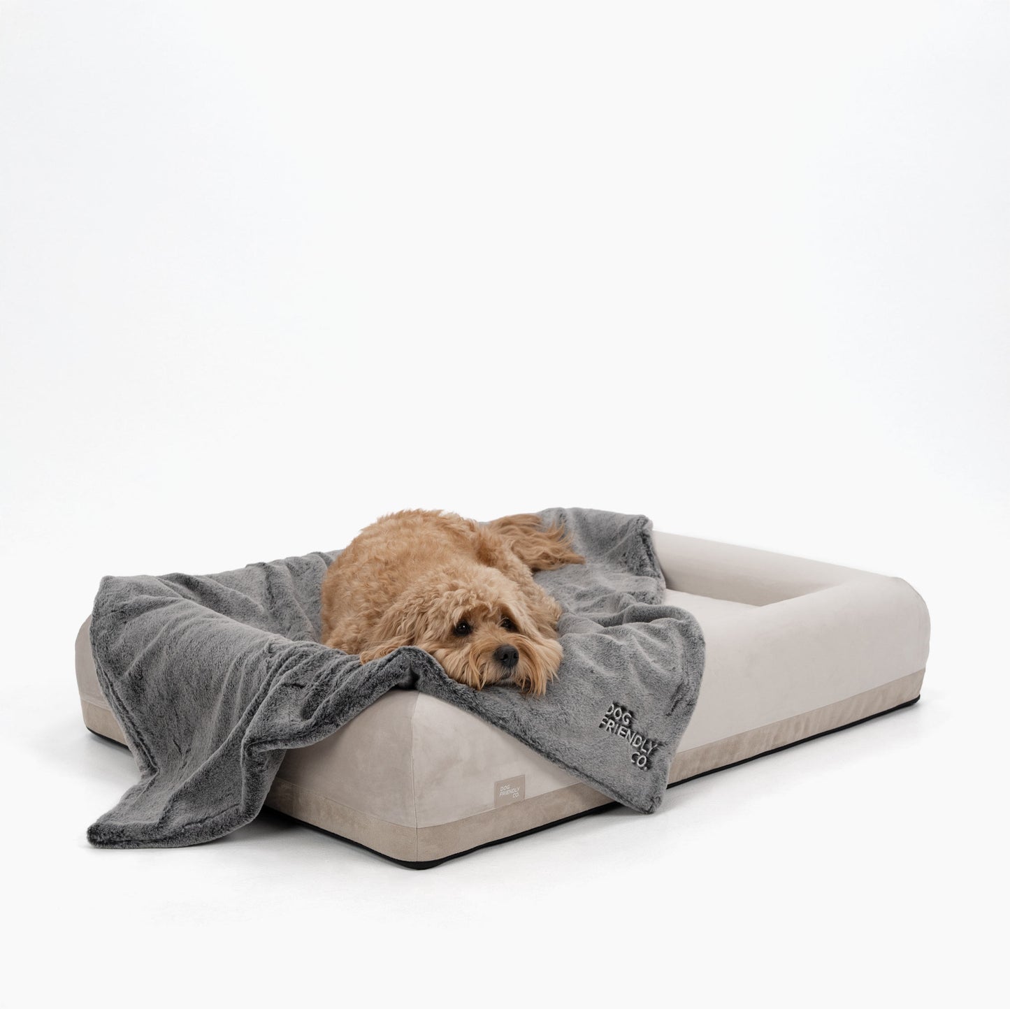 Orthopedic Memory Foam Dog Bed - Beige (Small)