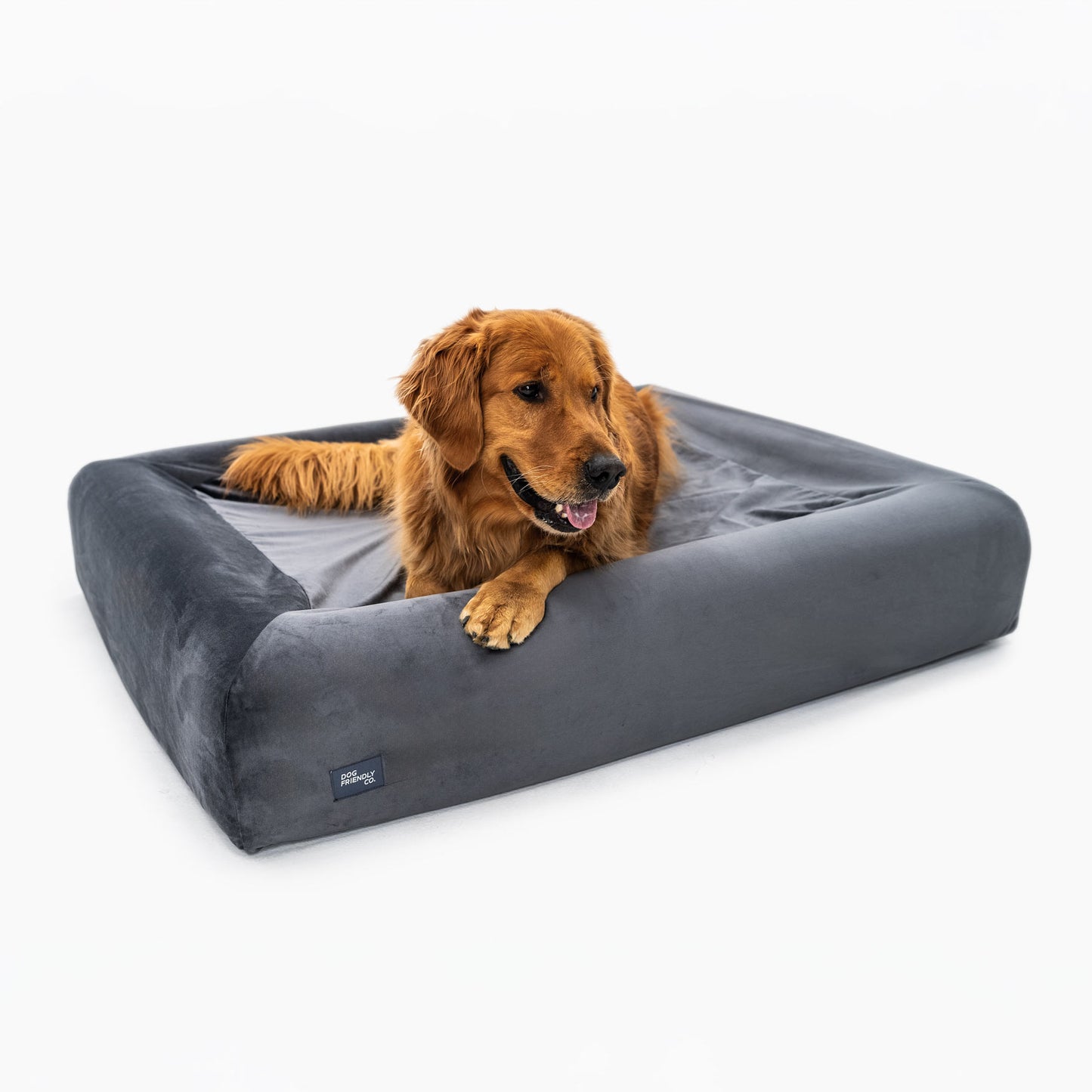 Orthopedic Memory Foam Dog Bed - Charcoal (Small)