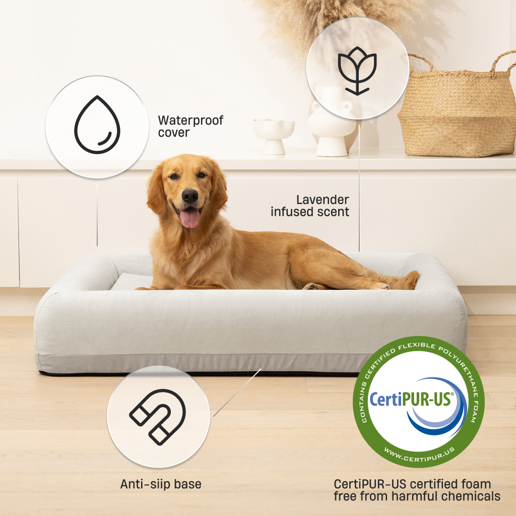 Premium Orthopedic Memory Foam Dog Bed - Grey (Medium)
