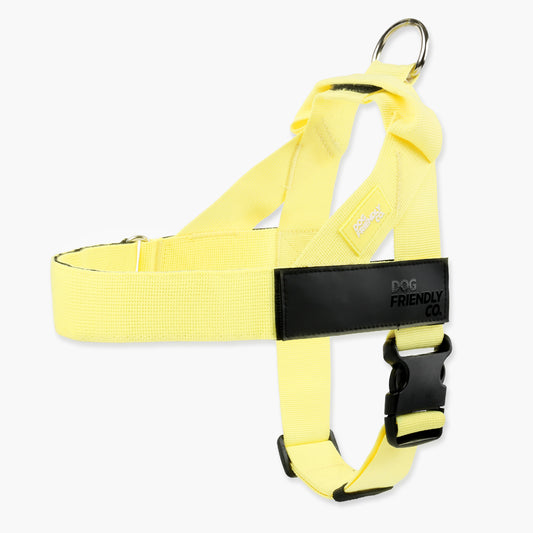 Dog Harness - Yellow