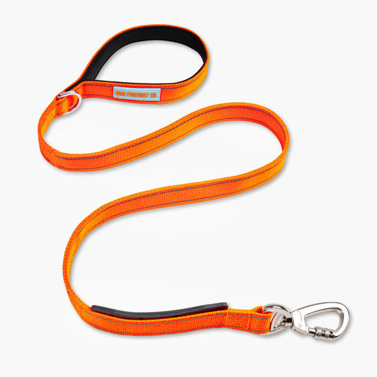 Classic Dog Leash