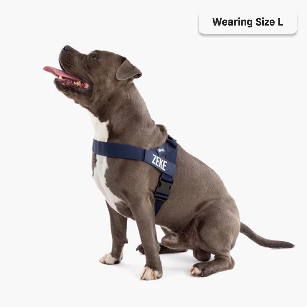 Dog Harness - Navy Blue