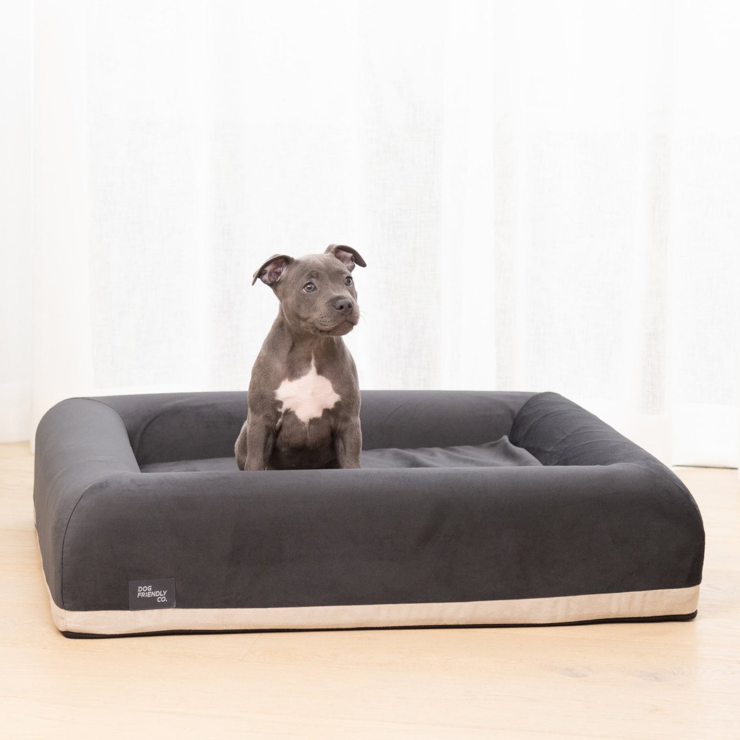 Premium Orthopedic Memory Foam Dog Bed - Charcoal (Large)