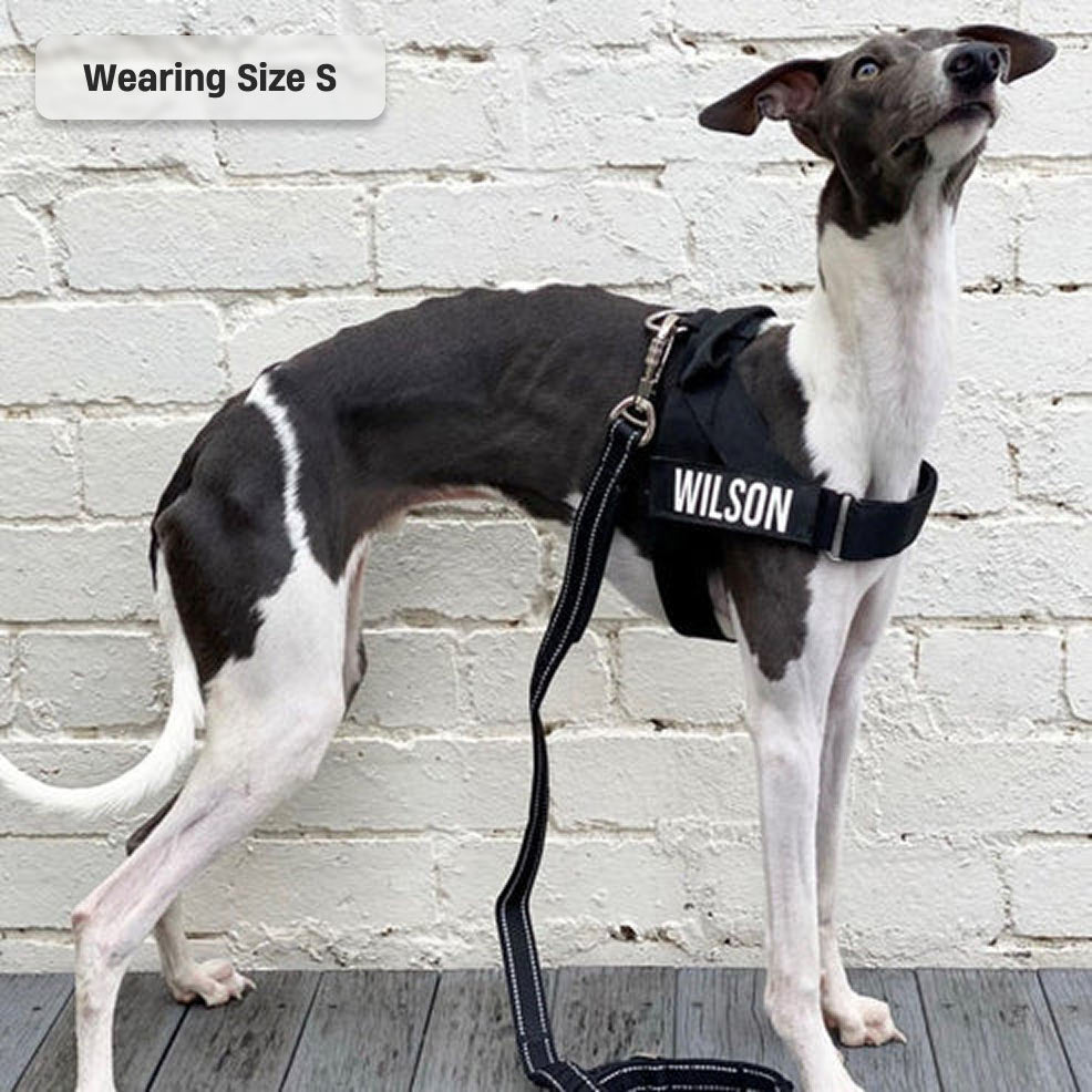 Dog Harness - Black