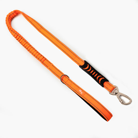 Bungee Dog Leash - Orange