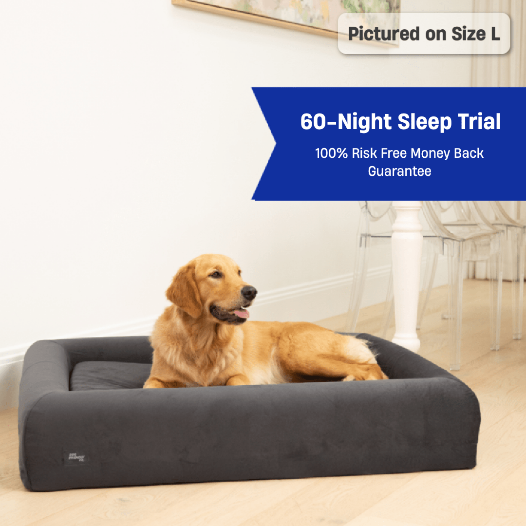 Premium Orthopedic Memory Foam Dog Bed - Charcoal (Small)