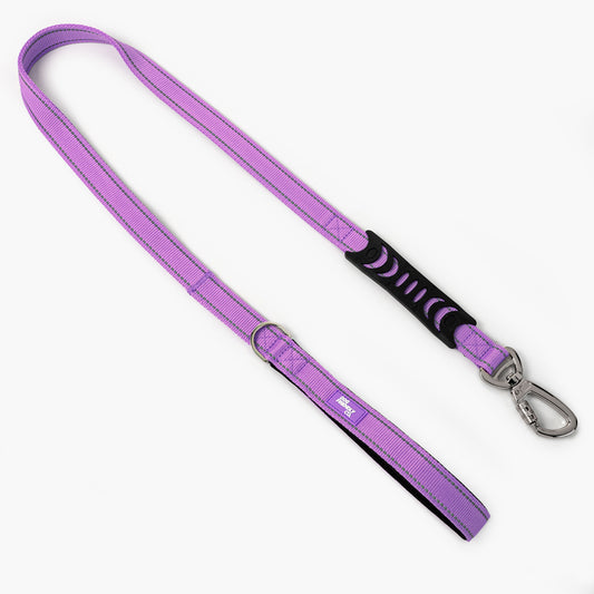 Classic Dog Leash - Purple