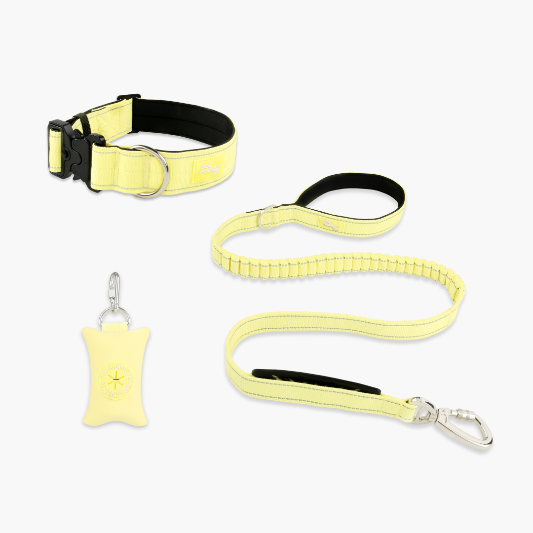 Collar Walk Set