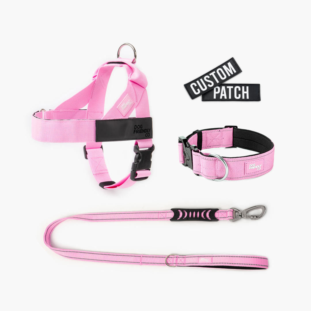 Dog Lovers Pack - Pink