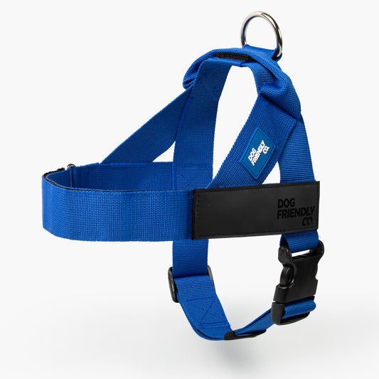 Dog Harness - Classic Blue