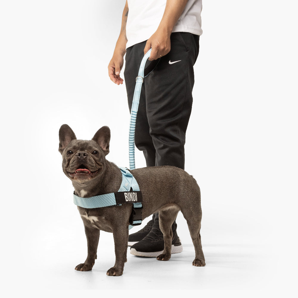Dog Lovers Pack - Sky Blue