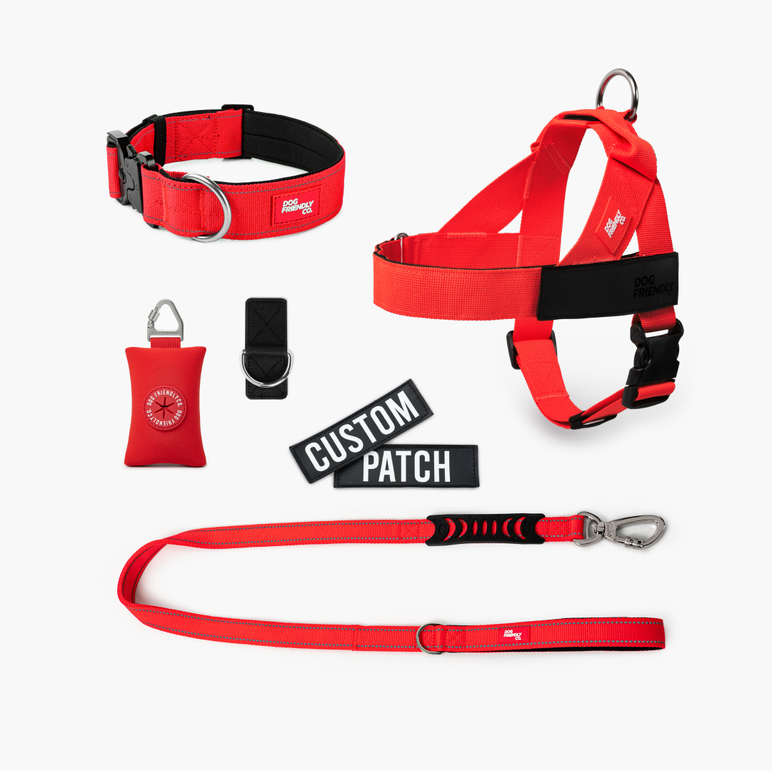 Walk Essentials - Red