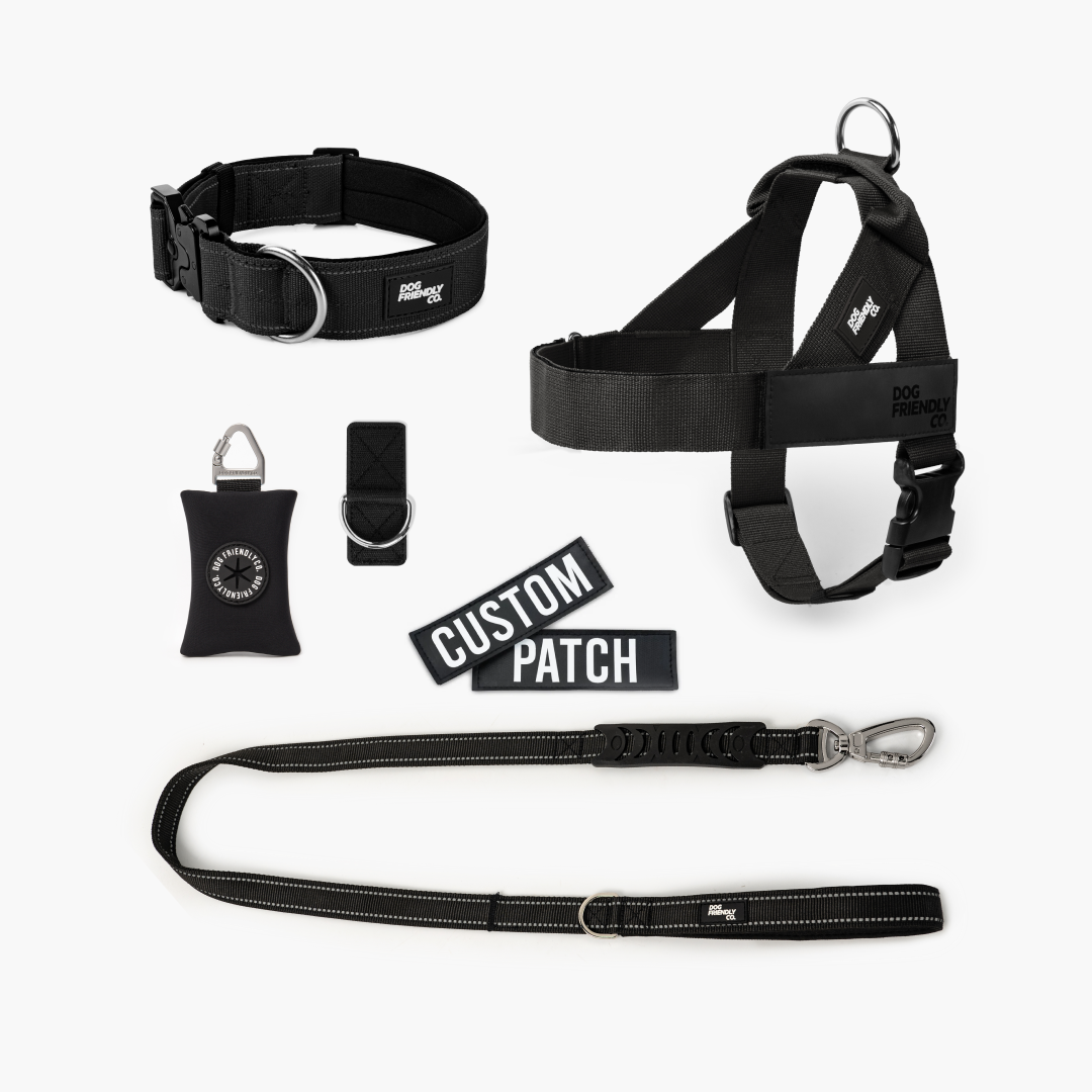 Walk Essentials - Black